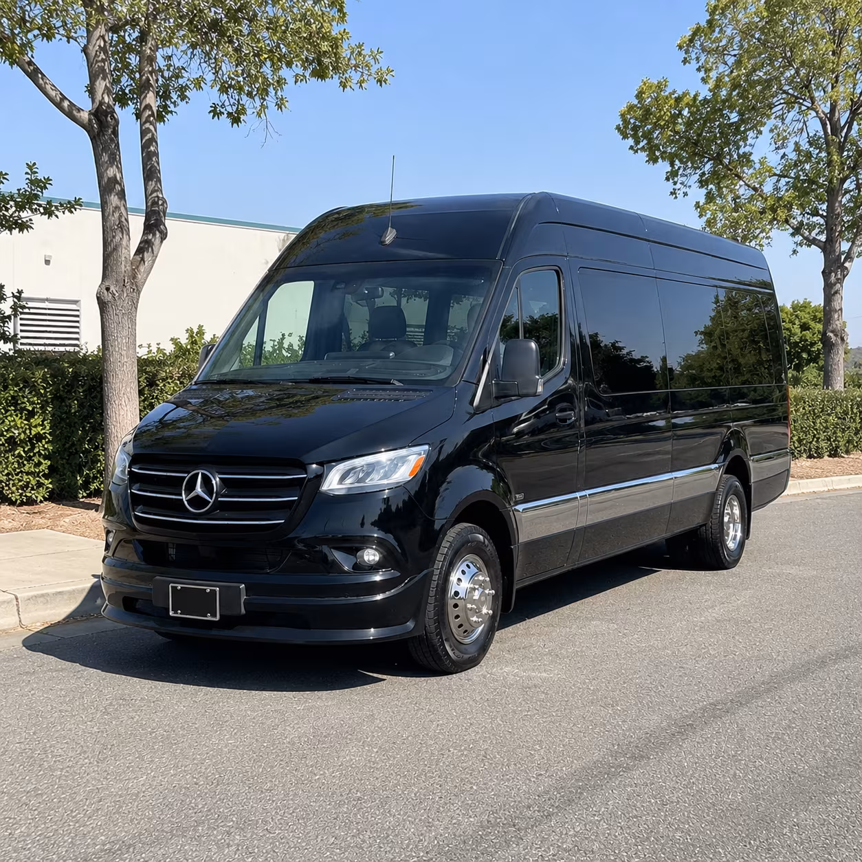 bowling green wedding bus rentals made simple