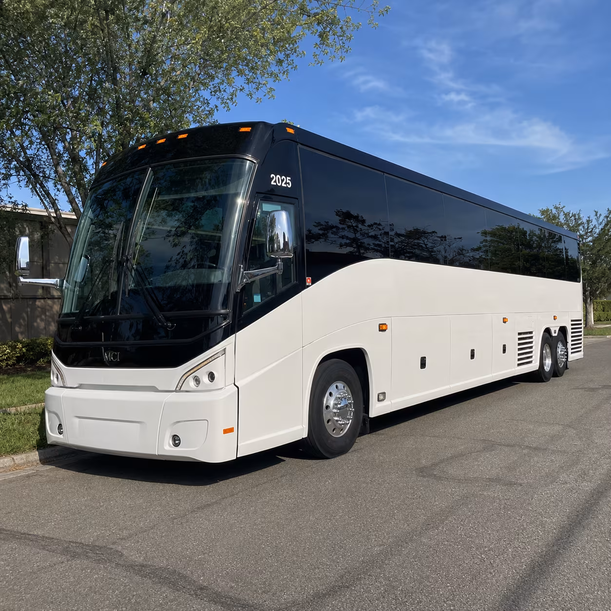 smyrna plan your class outing with smyrna school field trip bus rentals